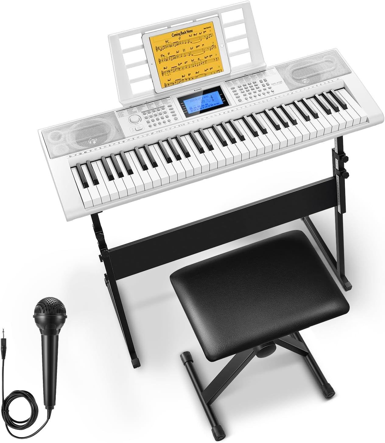 61 Key Keyboard Piano, Electric Piano Keyboard Kit with 249 Voices, 249 Rhythms - Includes Piano Stand, Stool, Microphone, Gift for Beginners, Black (DEK-610S)