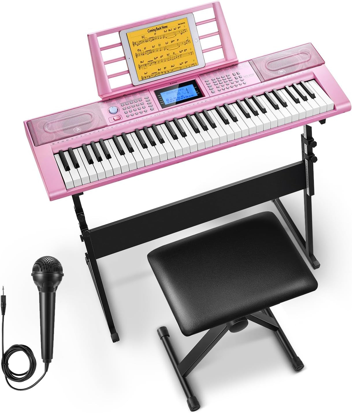 61 Key Keyboard Piano, Electric Piano Keyboard Kit with 249 Voices, 249 Rhythms - Includes Piano Stand, Stool, Microphone, Gift for Beginners, Black (DEK-610S)
